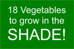 18 Vegetables to grow in the shade.